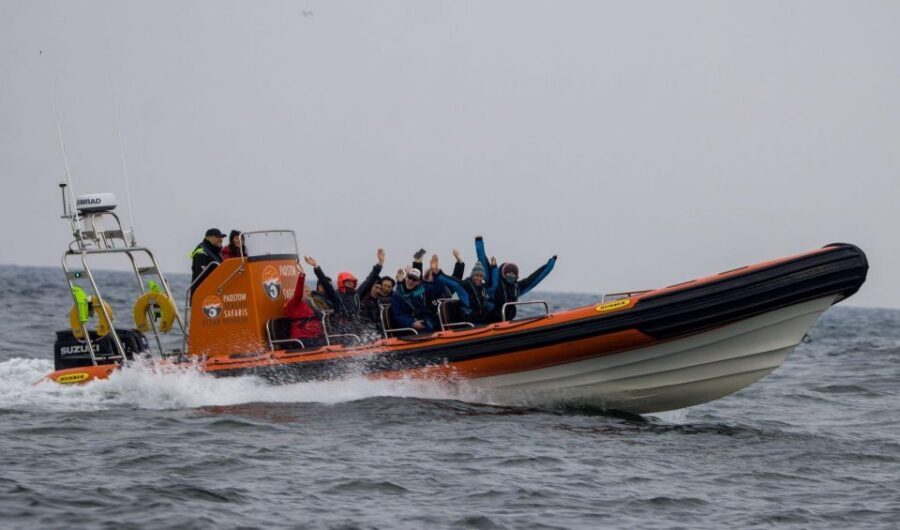 Padstow: Guided RIB Sealife Safari - The Camel Estuary to open Atlantic: what the RIB ride feels like