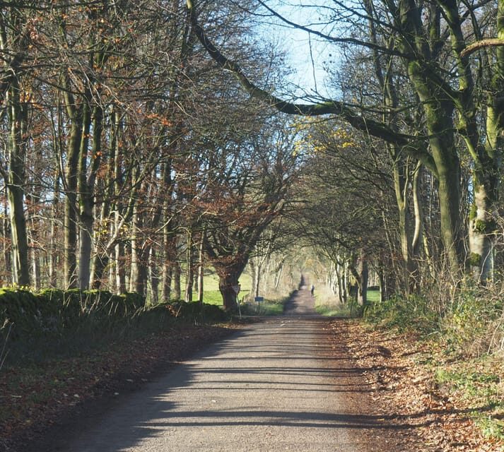 Peak District Highlights eBike Tour - How tough is it really for different fitness levels