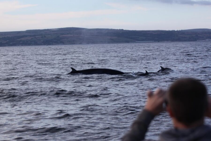Penzance: Land's End Boat Tour with Wildlife Guides - Penzance to Land’s End: a short trip with big “wow” potential