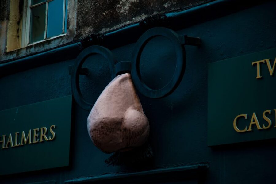 Private tour: discover the city which inspired Harry Potter - How the private guide experience works (French storytelling, photo stops, and energy)