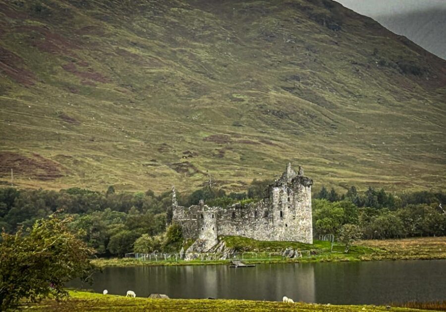 Private Tour of Highlands, Lochs & Castles from Stirling - Highland cows at Kilmahog: a snack-time stop that feels real