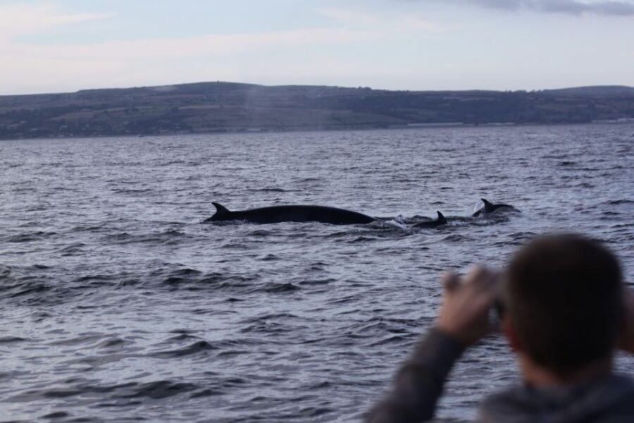 Rounding Cornwall Boat Trip Experience. (Departing Hayle) - The three-way sea mixing that drives wildlife sightings