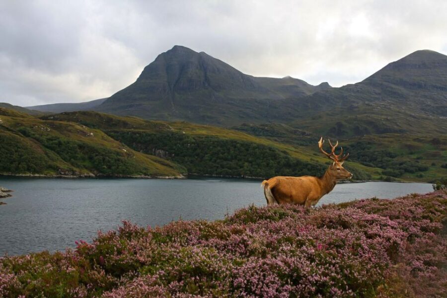 Scotland: Orkney and Northern Coast 5-Day Tour - Key takeaways before you go