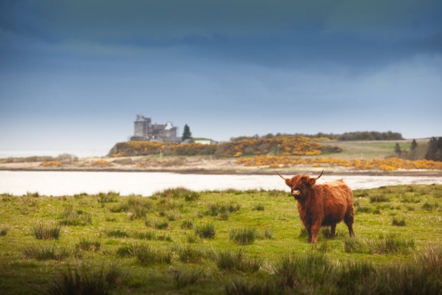 Scotland: West Highlands, Mull and Iona 4-Day Tour - Small-group West Highlands touring by a 16-seat Mercedes