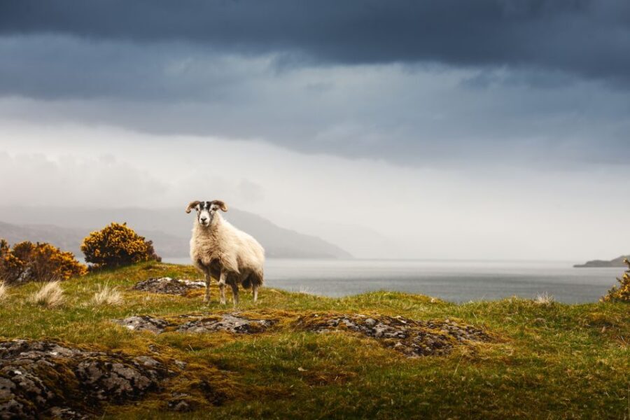 Scotland: West Highlands, Mull and Iona 4-Day Tour - Day 1: Edinburgh to Callander, Trossachs roads, Rannoch Moor, and Glencoe