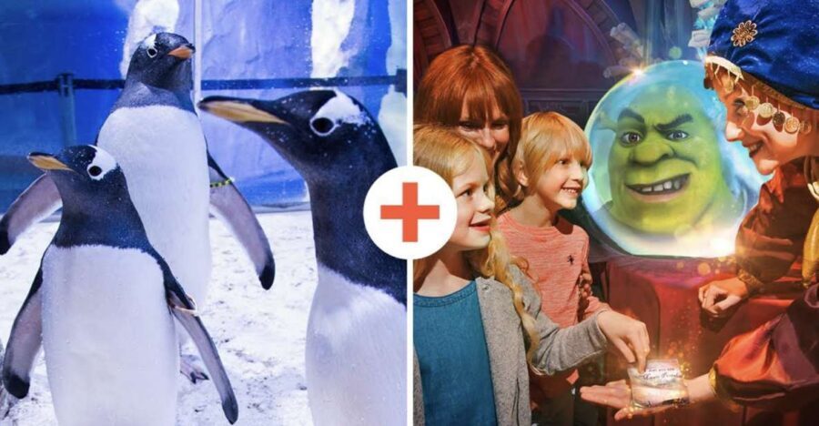 SEA LIFE London & DreamWorks Shrek's Adventure: Combo Ticket - Key things worth knowing before you go