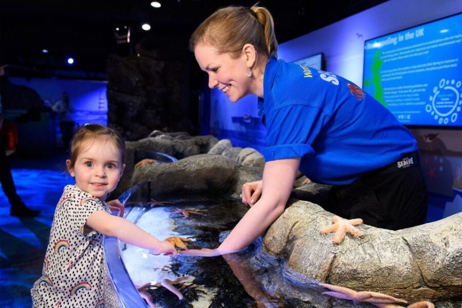 SEA LIFE London & DreamWorks Shrek's Adventure: Combo Ticket - A Real Consideration: English Helps for Shrek’s Adventure