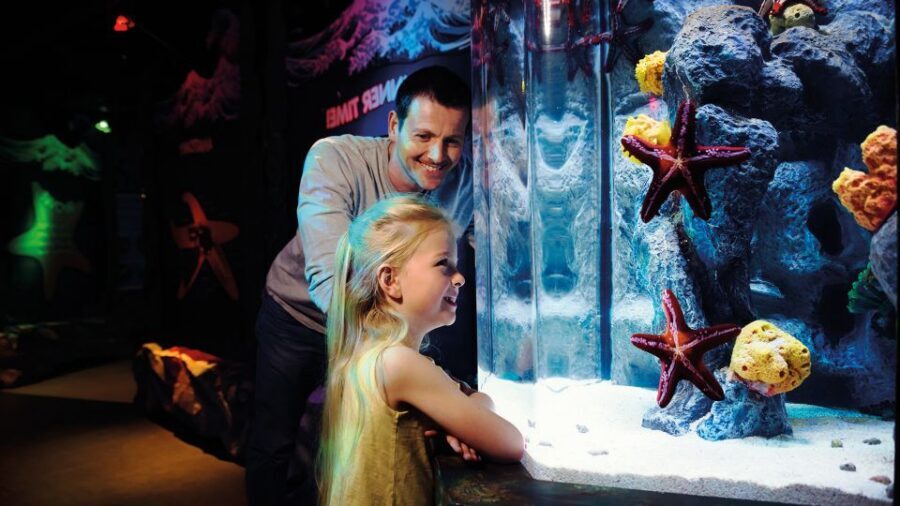 SEA LIFE London & DreamWorks Shrek's Adventure: Combo Ticket - The 4D Flying Bus and the Donkey-Driven Story