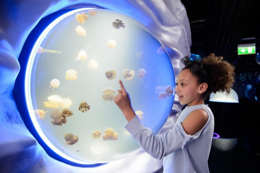 SEA LIFE London & DreamWorks Shrek's Adventure: Combo Ticket - 12 Fairytales in One Live, Multi-Sensory Show