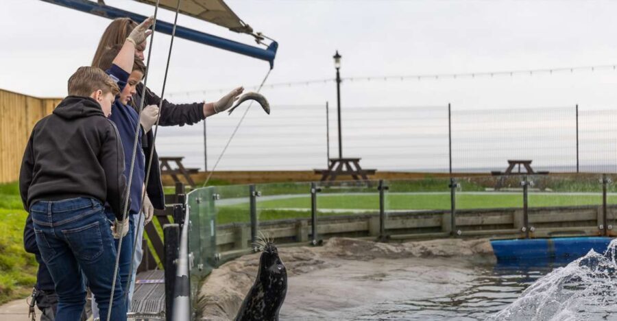 Sea Life Scarborough - Entering on Scarborough’s North Bay (and how to start smart)