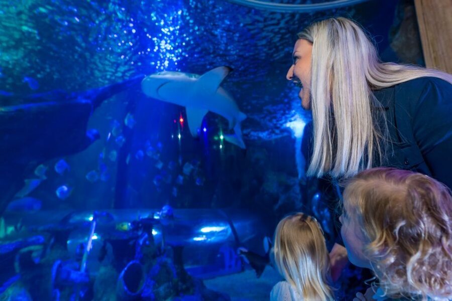 Sea Life Scarborough - Ocean Tunnel: walking under the waves