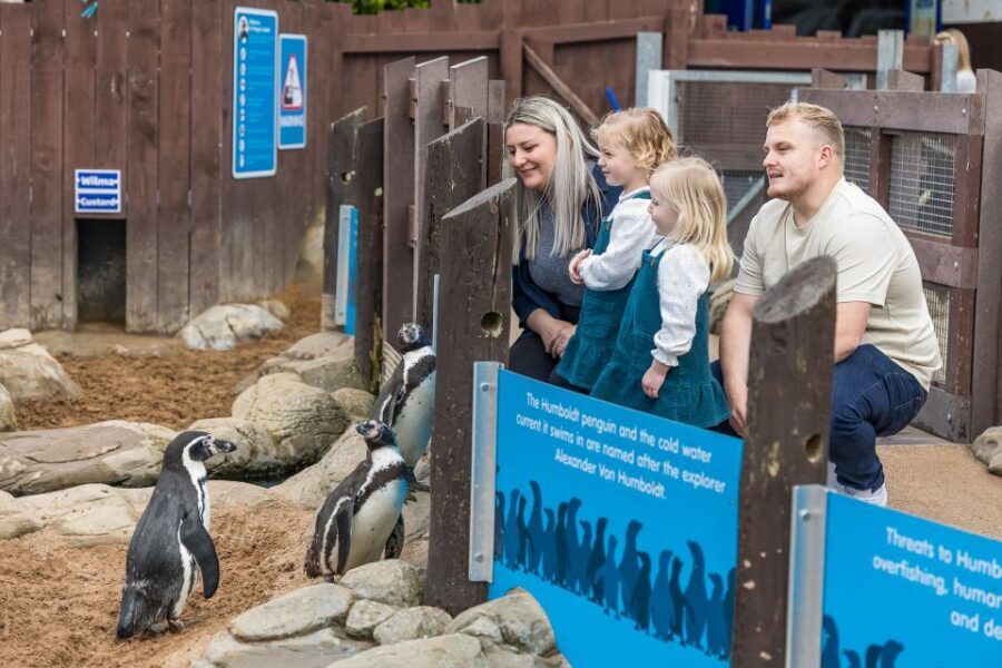 Sea Life Scarborough - Seal Hospital: rescue stories you can track, including Boo