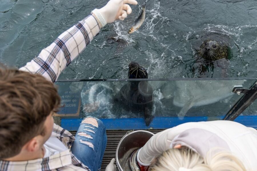 Sea Life Scarborough - Talks and feed times: catch the best moments by watching the schedule