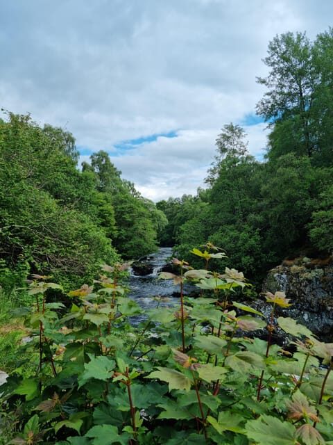 Shore excursion from Invergordon - Castles, Scenery & Whisky - Price and value: what $902 gets you (and what costs extra)