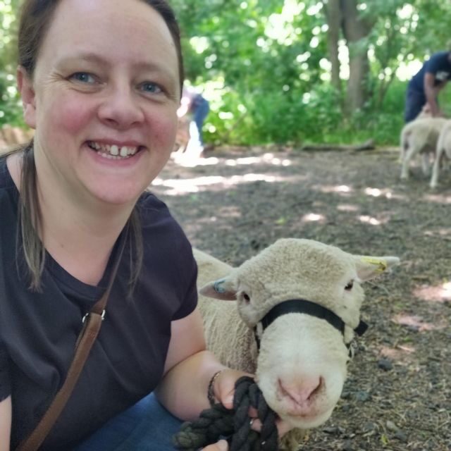 Shropshire: Sheep Trek with the Smallest Sheep in the World - Why a Tiny Sheep Walk Works So Well in 1 Hour