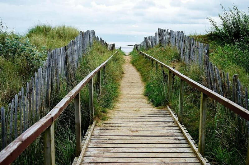 St. Andrews: The Essential Guided Bike & E Bike Tour - Bogward Dovecot and Hallow Hills: quirky stops with local detail