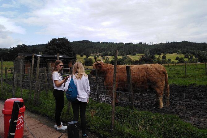 Stirling Castle, Hairy Coo's & The Trossachs - A private Stirling and Trossachs day that feels efficient, not rushed
