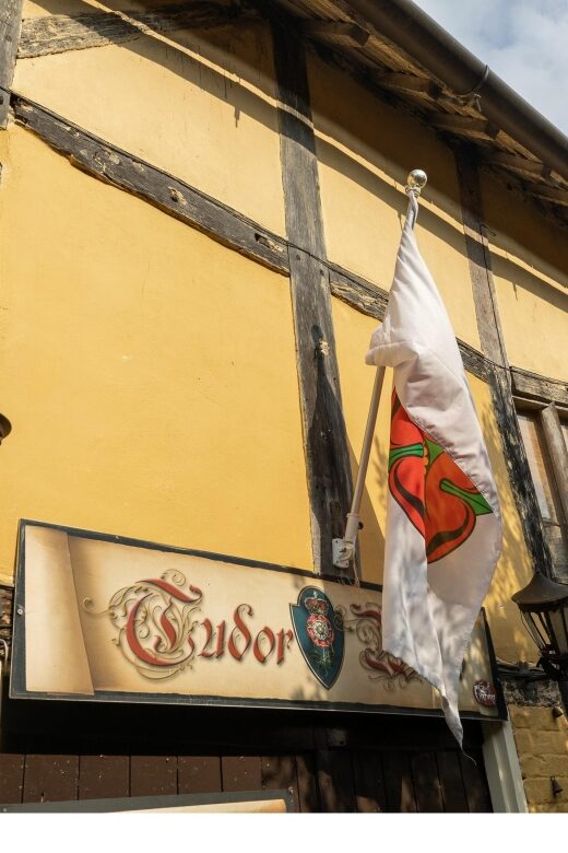 Stratford-upon-Avon: Tudor World Museum Entrance Ticket - Shakespeare, Henry VIII, and Elizabeth I: how the museum ties it together
