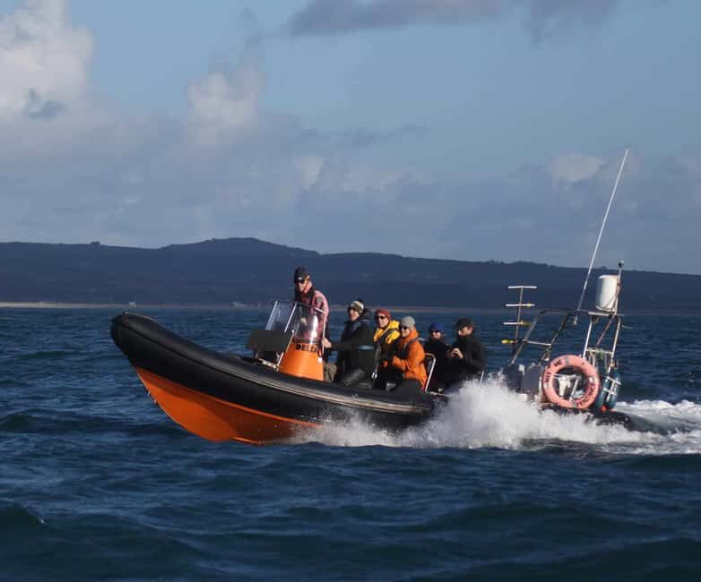 Swim and Snorkel with Seals. Boat Trip Penzance Cornwall - Key things that make this trip worth considering