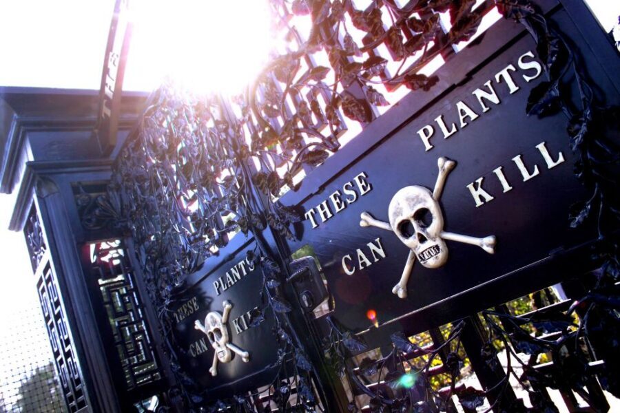 The Alnwick Garden: Entry Ticket - Food and coffee: where the experience can slow down