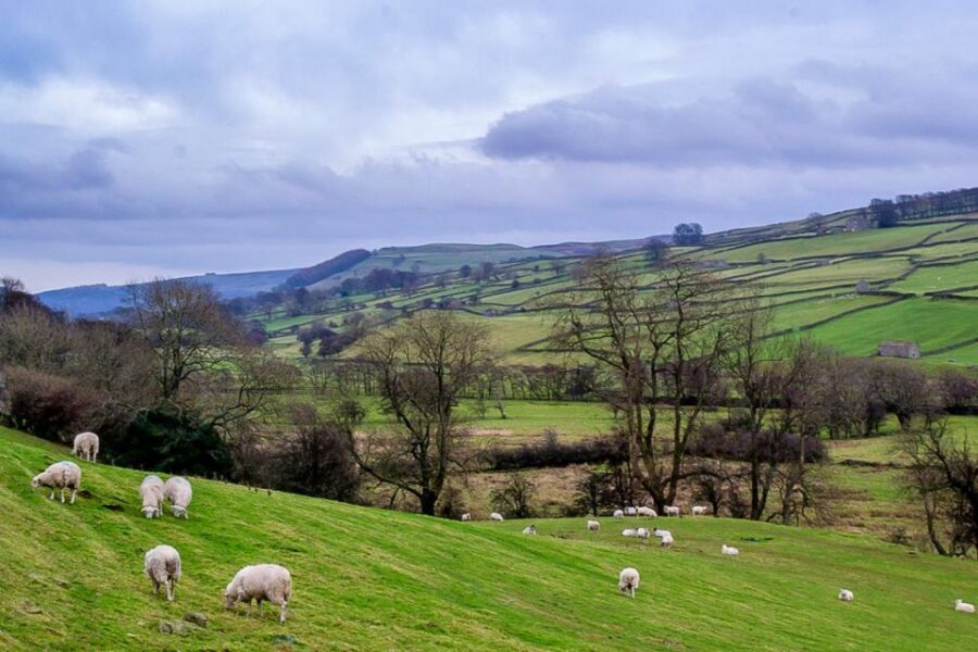 The Yorkshire Dales Tour from York - Key highlights worth planning around