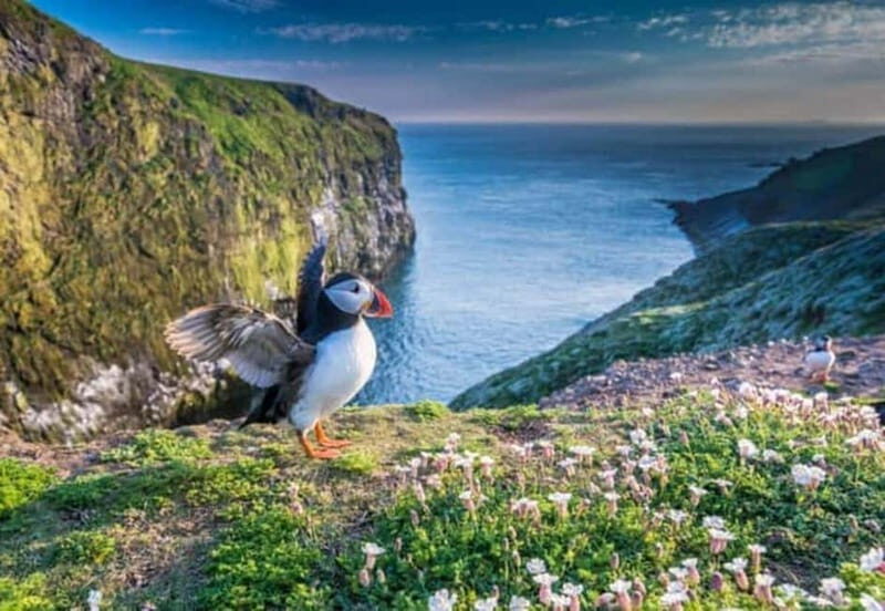 Top Of The Highlands Tour: John O' Groats, Caithness & More - Duncansby Head and other viewpoints: how they connect the day