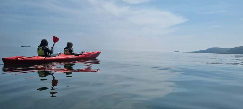 Torquay: Guided Wildlife, Bushcraft, Sea Cave Kayak Safari - Key Things I’d Prioritize on This Tour