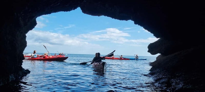 Torquay: Guided Wildlife, Bushcraft, Sea Cave Kayak Safari - A Three-Hour Kayak Safari From Oddicombe Beach