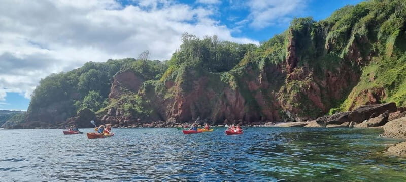 Torquay: Guided Wildlife, Bushcraft, Sea Cave Kayak Safari - Seals, Dolphins, and Resident Cetaceans From Your Kayak