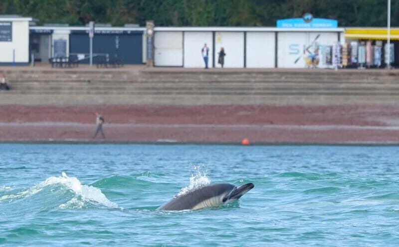 Torquay: Guided Wildlife, Bushcraft, Sea Cave Kayak Safari - What to Wear and Bring So You Don’t Get Miserable