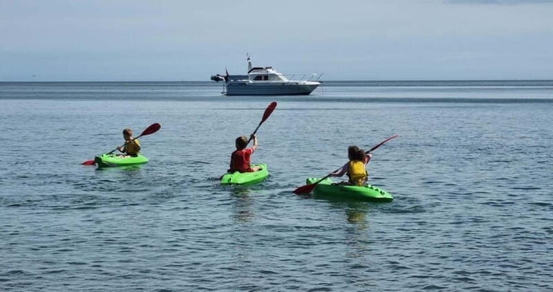 Torquay: Kayak Rental with Sit-on-Top and Sit-in Kayaks - Your 1-hour plan on the water (and how to make the most of it)