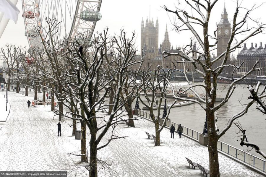 Tour of London and Christmas Day Lunch Cruise - Who Should Book This Christmas London and Thames Cruise?