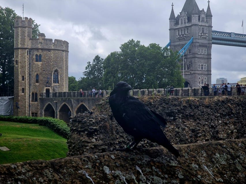 Tower of London Crown Jewels and English Royal History Tour - White Tower + Tower Armory: armor you can actually understand