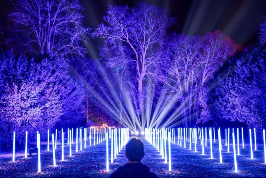 Waddesdon: Christmas at Waddesdon Manor - Entry Options: Grounds vs. Manor Access