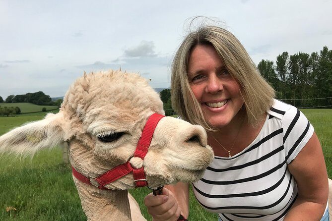 Walking with Alpacas - Key things to know before you go