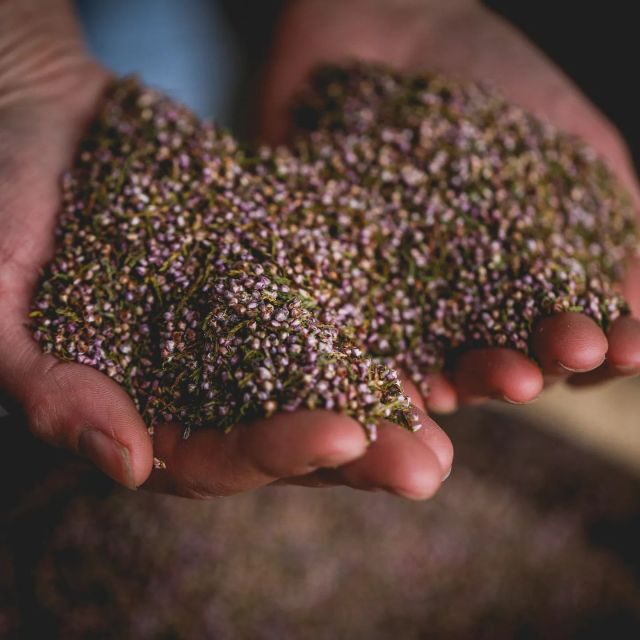 Whitby: Guided Distillery Tour with Gin Tasting - Who should book this Whitby gin tour (and who might want to skip)