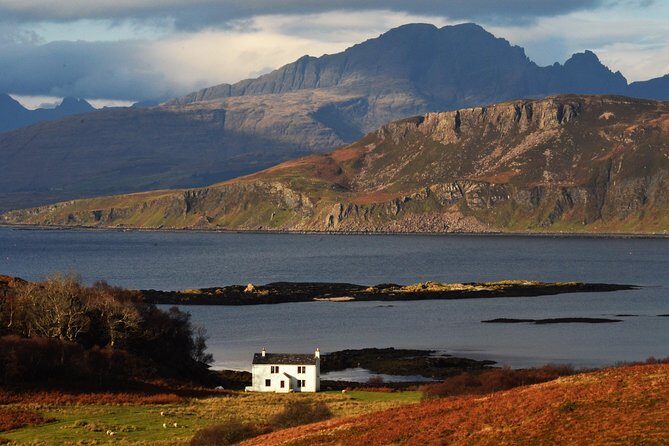 Wildlife Watching Safari by Vehicle & Walks / Photography workshops with a Guide - South Skye Wildlife Safari: Stewart Dawber’s Vehicle + Walk Approach