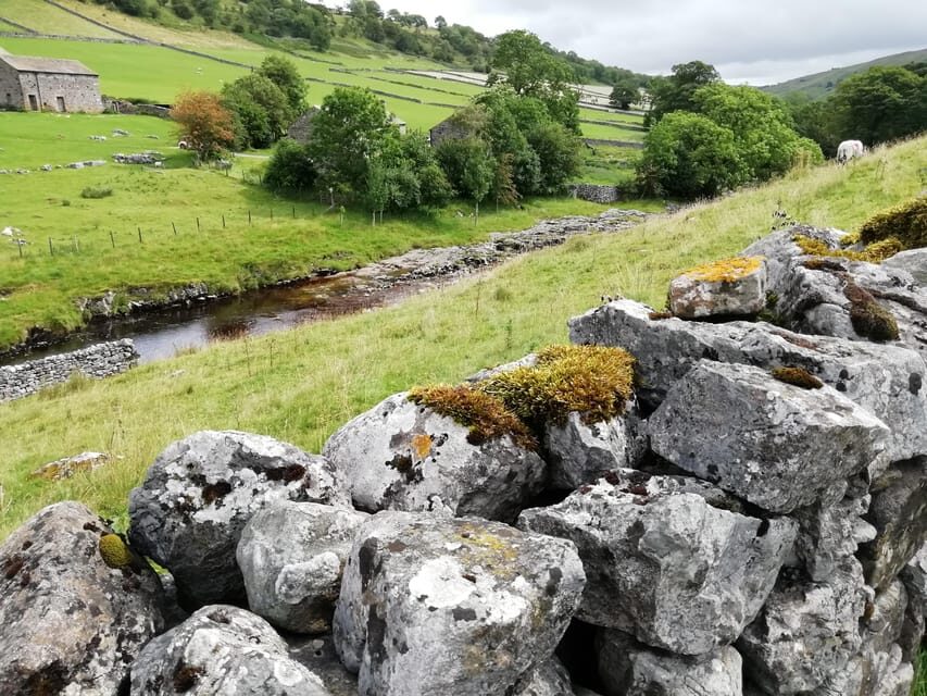York: "All Creatures Great and Small" Yorkshire Dales Tour - Bolton Castle Grounds: Included Entrance Plus Real Historical Drama