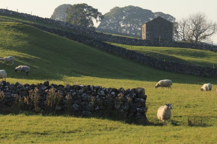York: "All Creatures Great and Small" Yorkshire Dales Tour - Price and Value: Is $109.11 a Fair Deal?