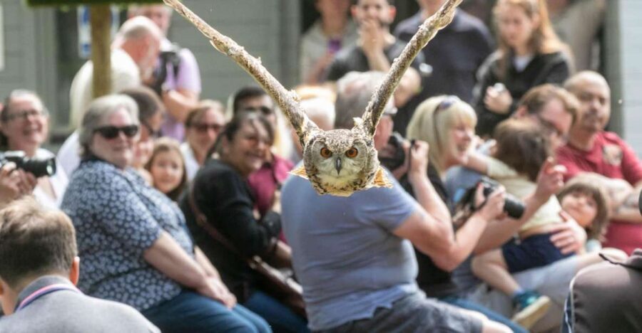 York: Entry to York bird of prey centre - York Bird of Prey Centre: the hands-on raptor day that feels real