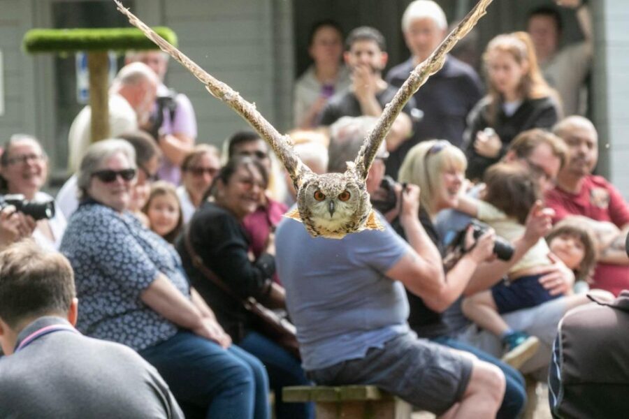 York: Entry to York bird of prey centre - Meet the birds of prey: what’s on your wish list
