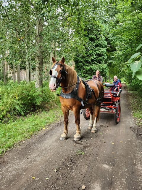 York: Horse Drawn Carriage Ride Around the Countryside York - Quick Highlights