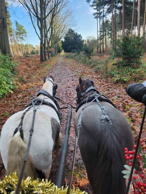 York: Horse Drawn Carriage Ride Around the Countryside York - Price and Value: $129 Per Group Up to 5