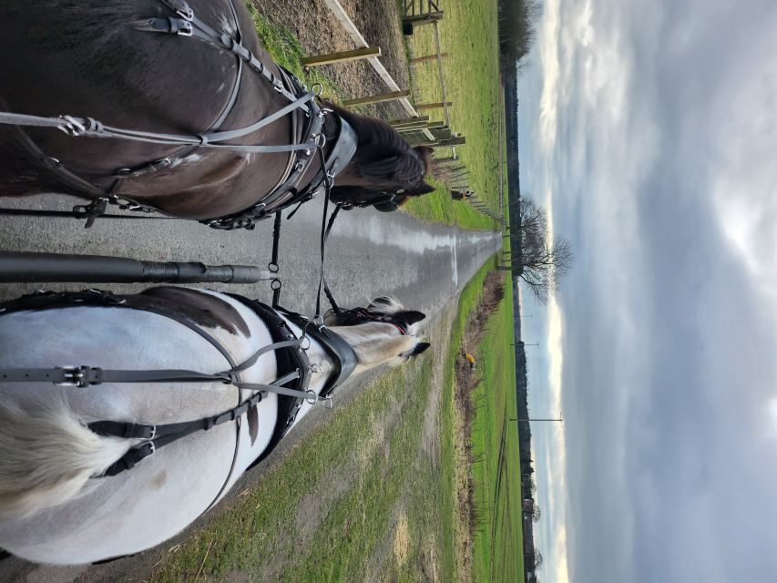 York: Horse Drawn Carriage ride & Cream Tea - Finding the right starting point in Skipwith