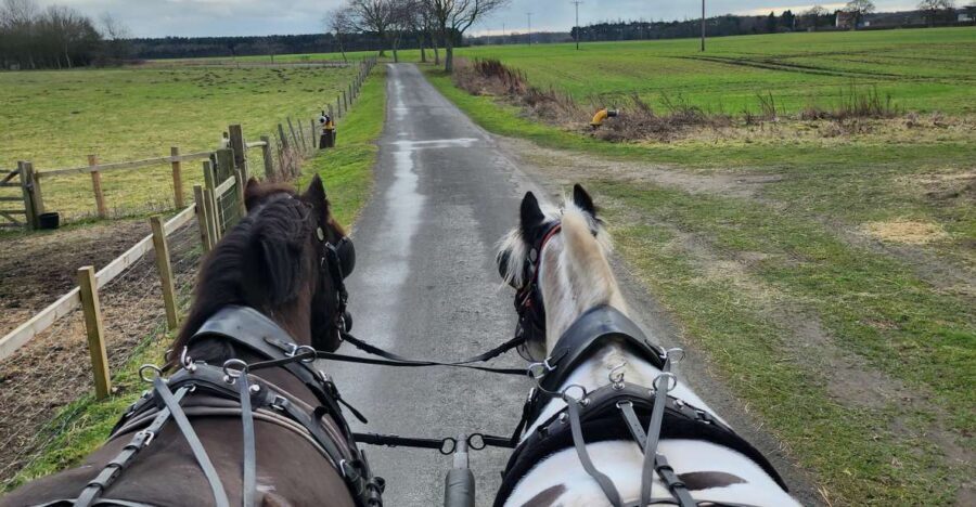 York: Horse Drawn Carriage ride & Cream Tea - Climbing aboard: what the carriage ride feels like