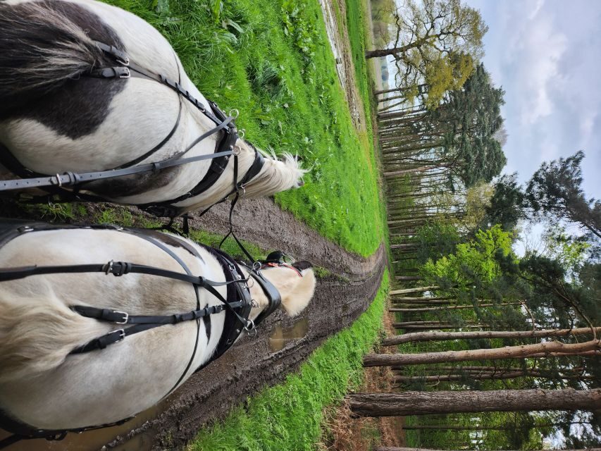 York: Horse Drawn Carriage ride & Cream Tea - The pre-ride break: coffee, photos, and a guided warm-up
