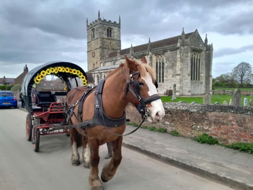York: Private Horse-Drawn Carriage Ride and Afternoon Tea - Price and Value: $175 Per Private Group Up to 5