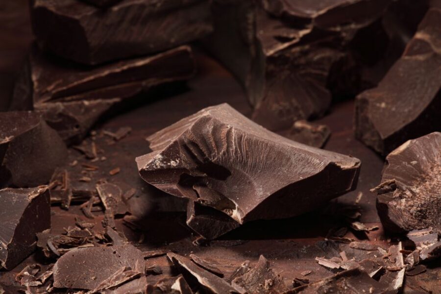 York's Chocolate Story: Guided Tour - The tasting lesson: learning chocolate the useful way